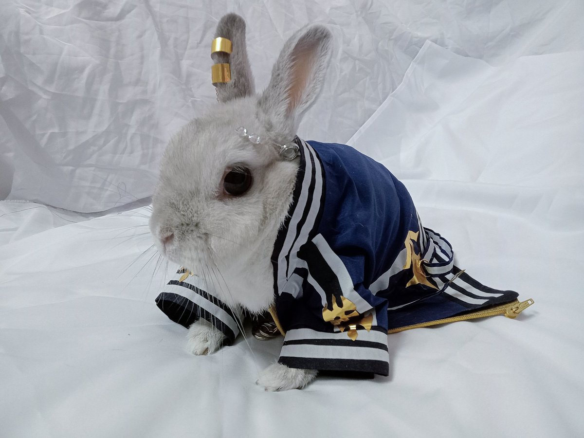 蘭萌皇🐰バイラン皇帝 tweet media