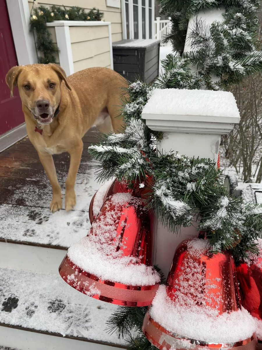 Kateywrites's tweet photo. This is why I leave the decorations up longer. 
(Yep. Let's go with that.)
#firstsnowoftheseason https://t.co/1xiBAXiBbX