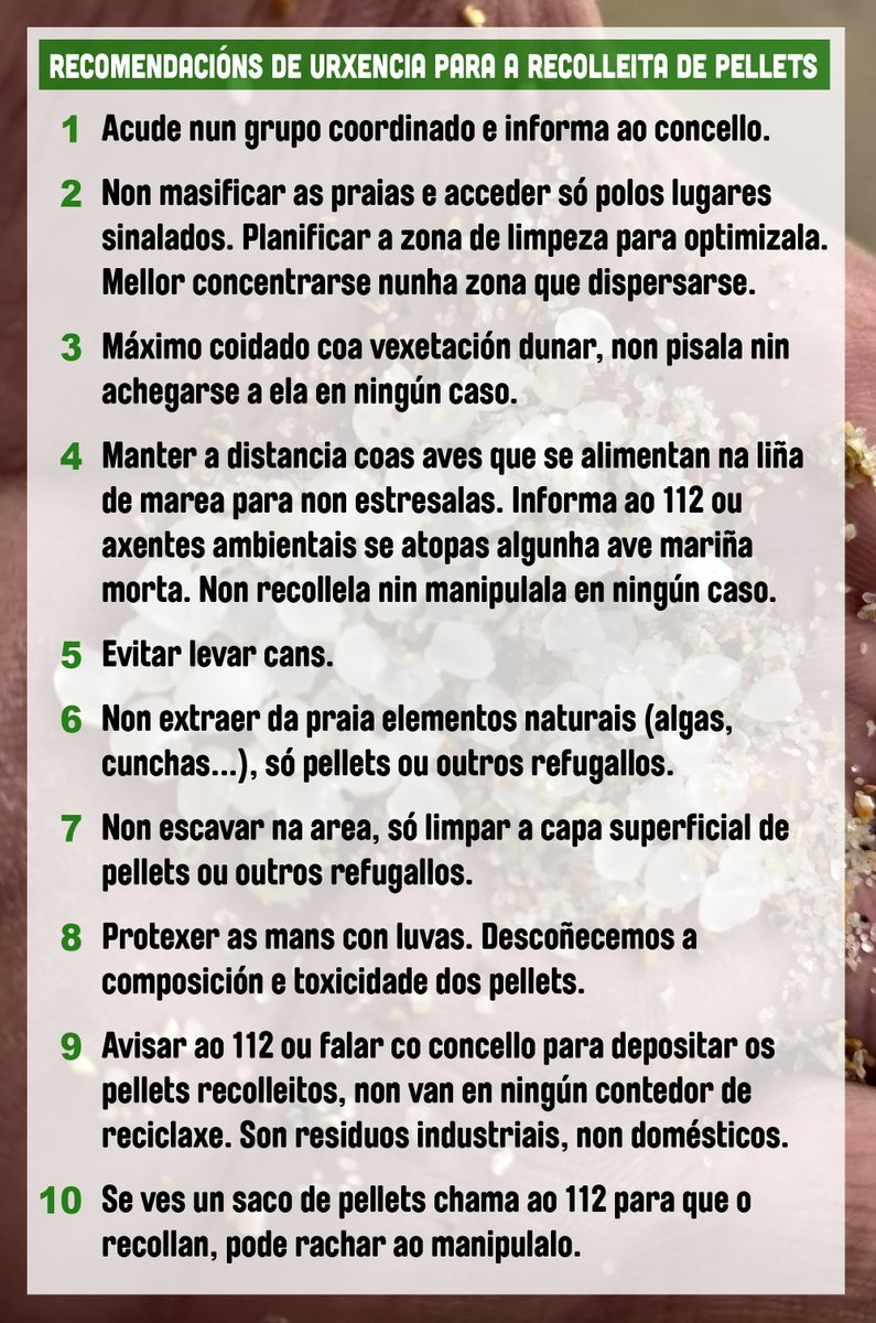greenpeace_gal's tweet photo. Moitas persoas estádesvos a autoorganizar para limpar de plástico esta nova desfeita na costa galega. Hai que facelo con máximo coidado e tamén esixir que o goberno actúe. Achegamos un decálogo de recomendacións de urxencia para protexer a contorna e as persoas. https://t.co/JzhRrv27yu