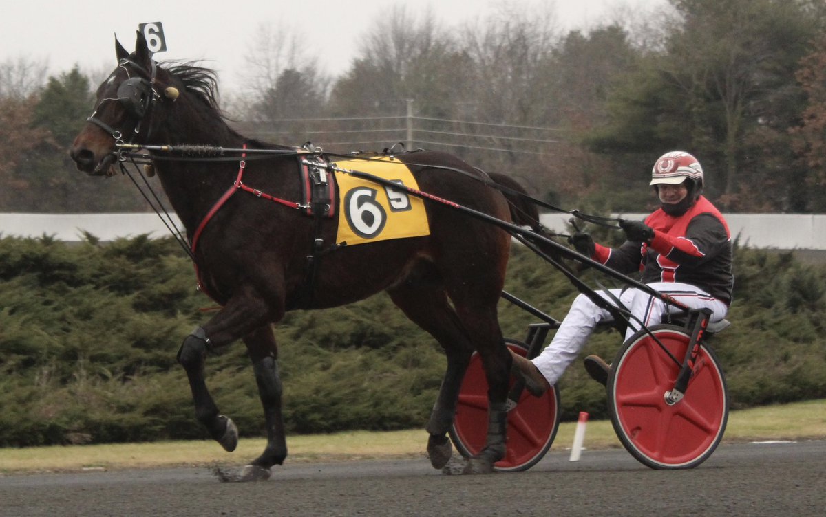 Three crossed the wire together but EMPEREURTHEBEST proved to be the best in today’s amateur trot. James Slendorn was the winning driver and owner of the 10YO gelding. Chris Height trains the French-bred. Call Me The Fireman was second. Trump This was third. A win bet paid $5.40.