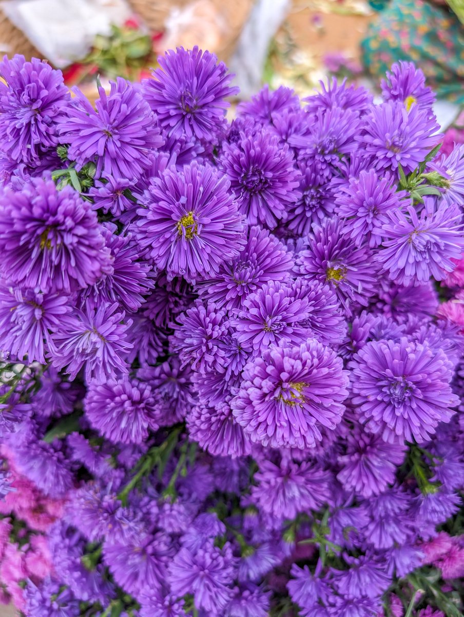 90ml_water's tweet image. Early mornings at Dadar Flower Market. A symphony of hues where each petal tells a tale. Mumbai, you bloom beautifully. 🌸🌼

#MumbaiMornings #FlowerMarketFeels #ColorMeHappy #teampixel
@GooglePixel_US @madebygoogle