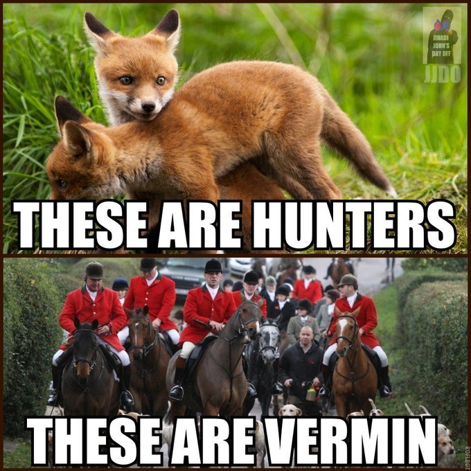 WistfulCass's tweet image. Shameful hunting still occurs &amp;amp; is permitted by rural police. #HuntingWithDogs is meant to be illegal 

@HuntSabs #ForFoxSakeSTOPHUNTING