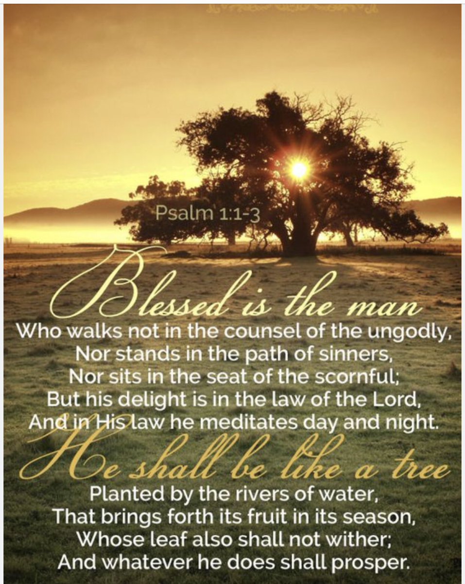 Melissa (@melissa44026011) on Twitter photo 