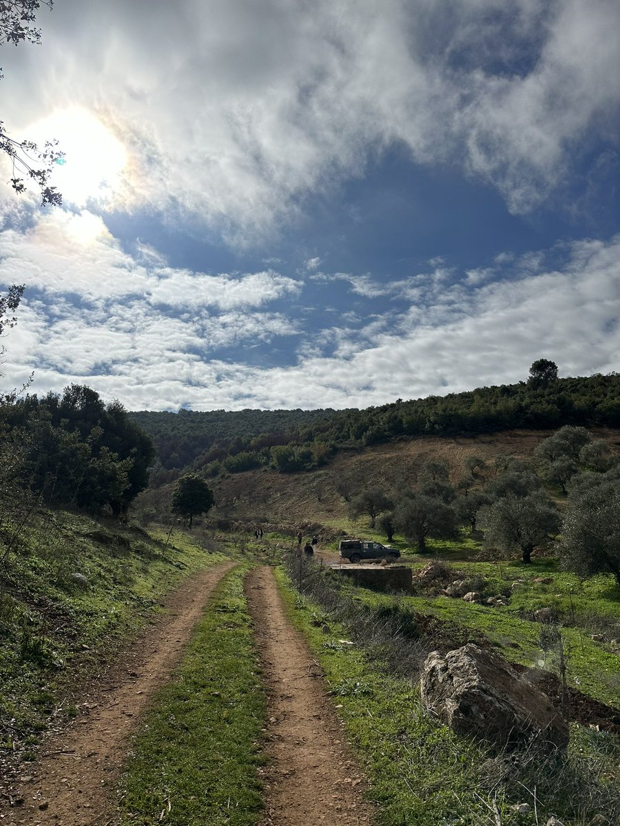 📍غابات وادي الشام - جرش