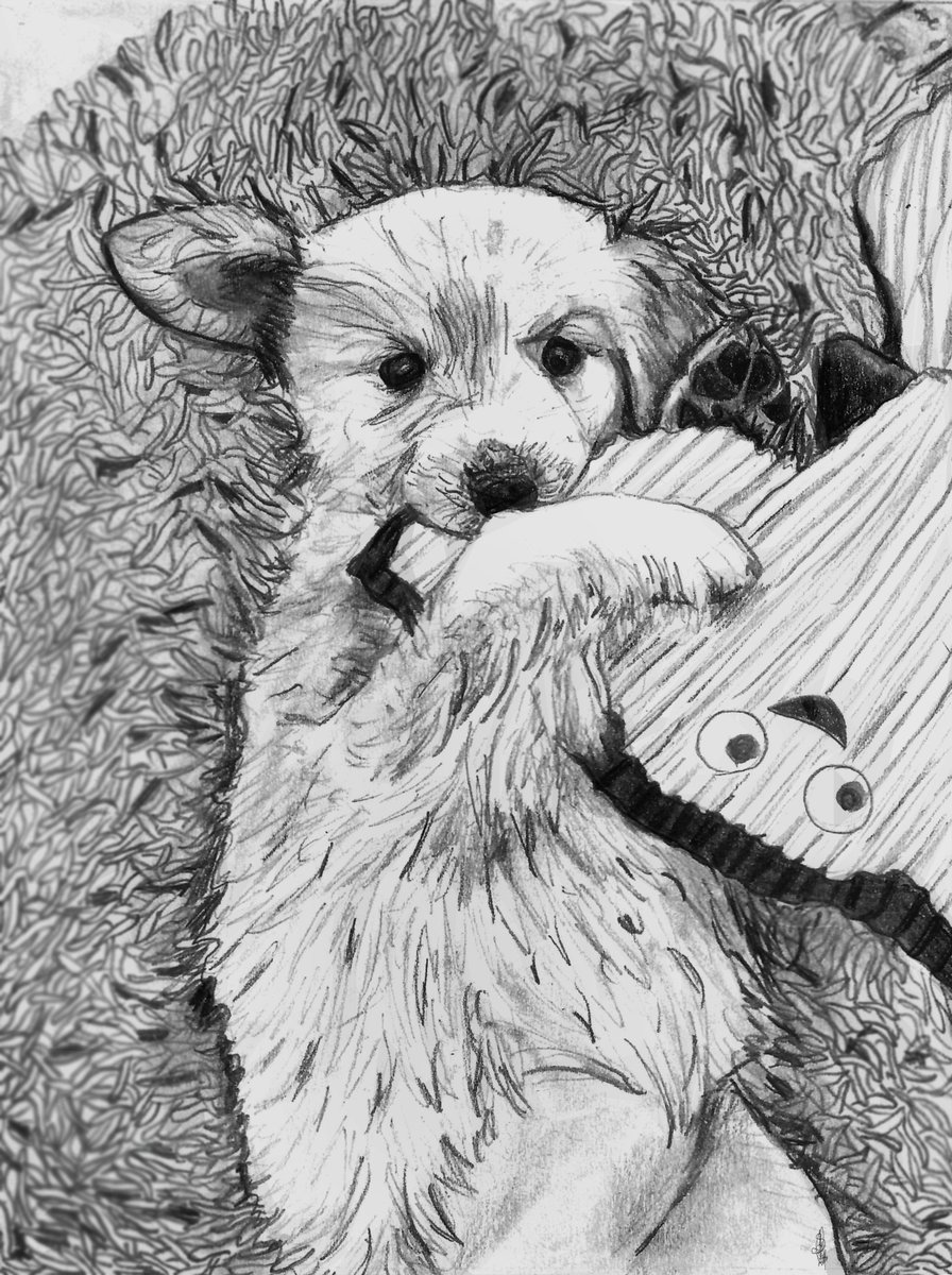 puppy commission x