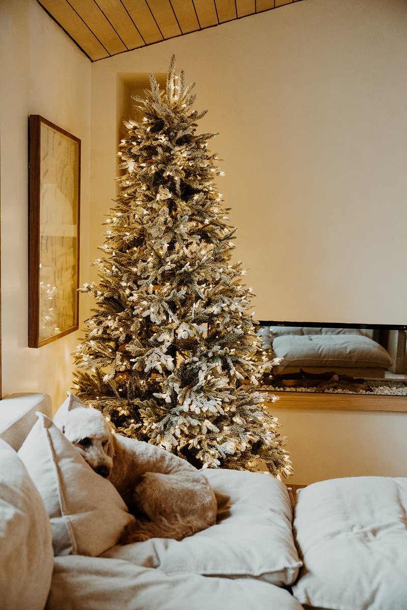 Keeping the tree bare with just the lights before we start decorating it for Valentine's Day. 💗🎀💕🌸 bit.ly/3H7t83p

📸: @swayandsarahbuild
🌲: 7.5’ Frosted Fraser Fir Tree