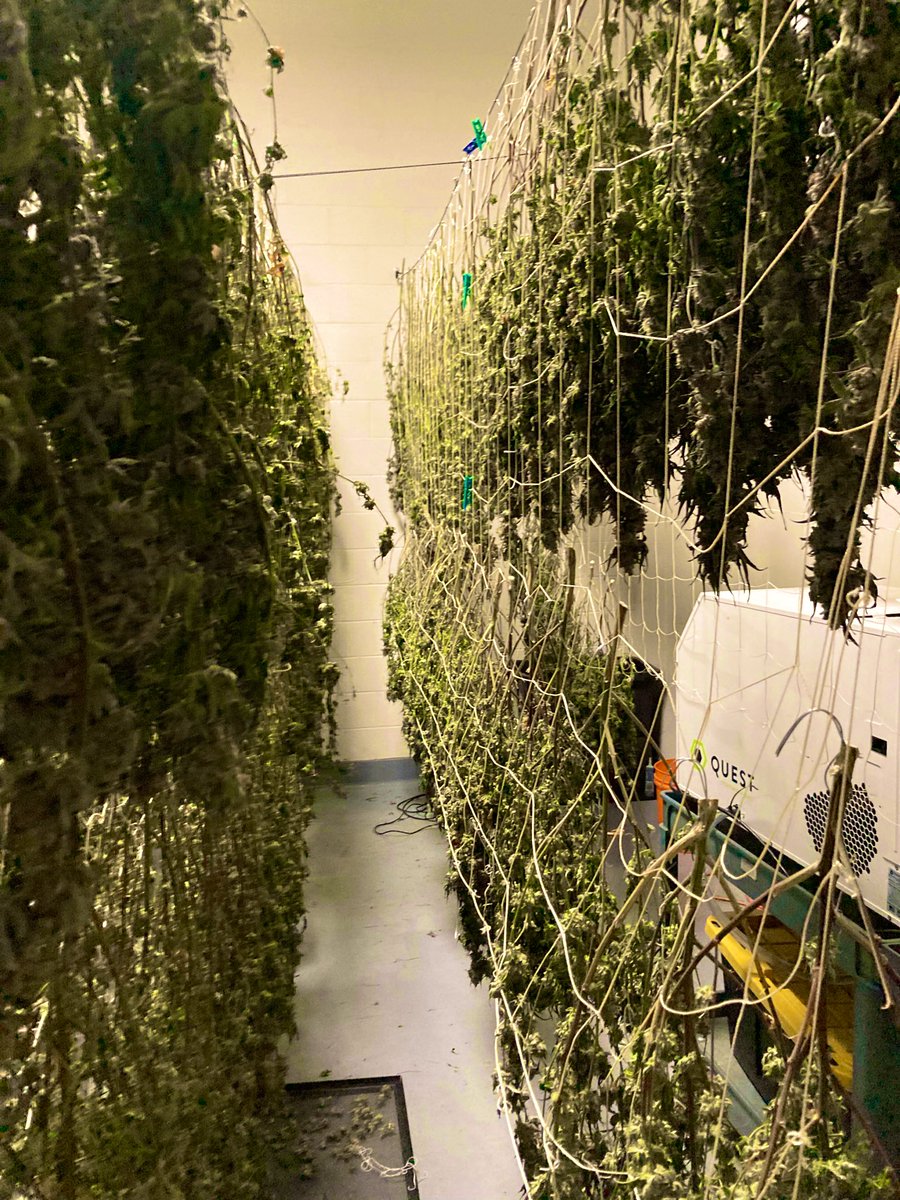 It’s harvest time in this little town. 

Time to bring it on in, pay the loans down