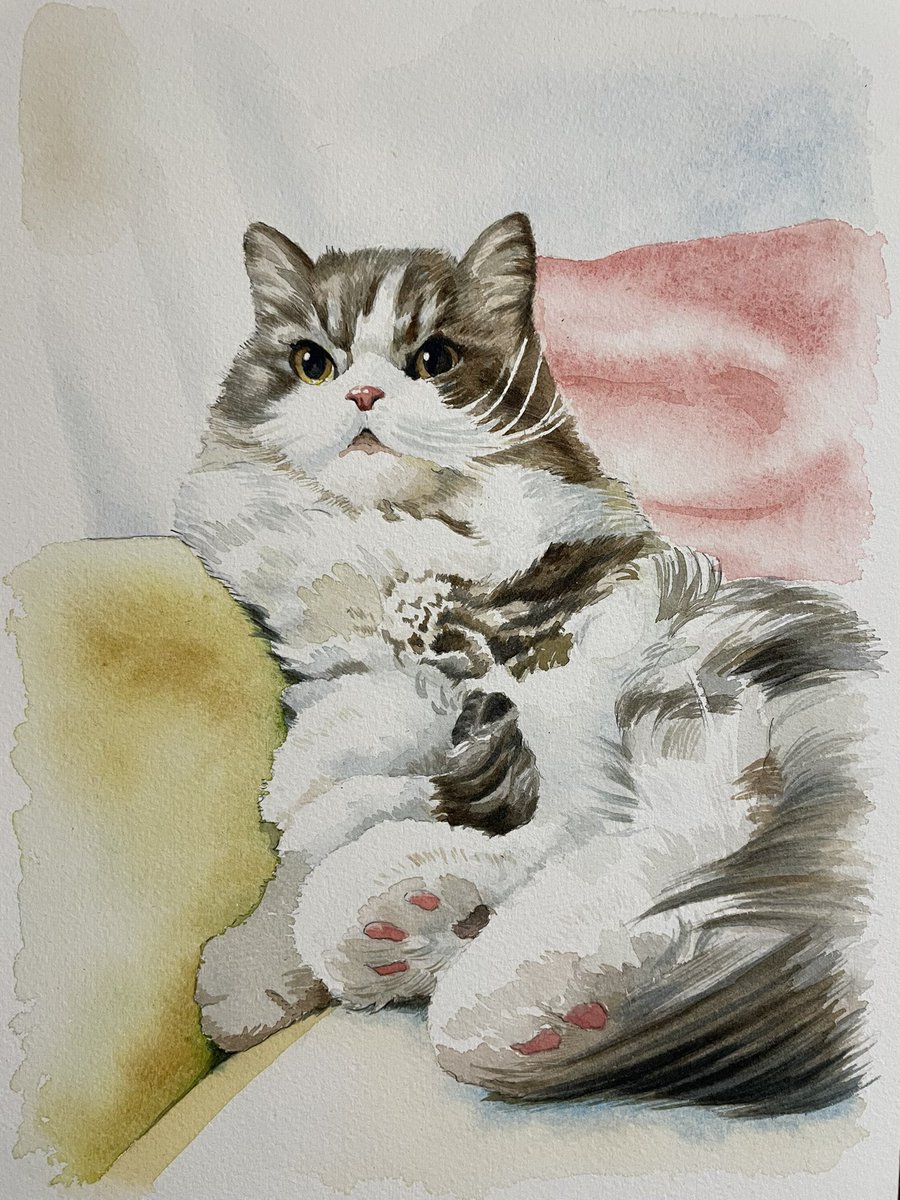 怒り顔のニャンコ アルシュ水彩紙 31✖️23cm #水彩画 #猫イラスト