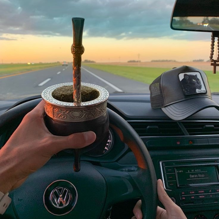 Viaje, sanguchitos y mate es todo lo que necesito.