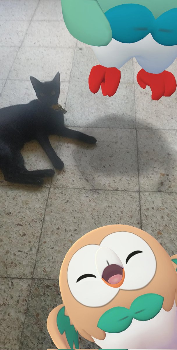 TeresaB42801051's tweet photo. Cómo les fue en el CD ?? Los leo
#PokemonGO
#PokemonGOComunityDay https://t.co/DF7ECYTKXt