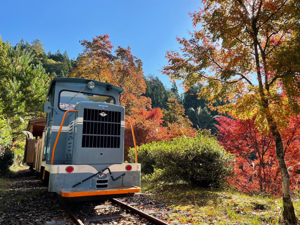 centerYANASE's tweet photo. 本日、魚梁瀬森林鉄道ですが臨時休業致します。
明日から営業致します！！ぜひ乗りに来てください😊

#魚梁瀬森林鉄道
#馬路村魚梁瀬 https://t.co/xGbSQ6Epf4