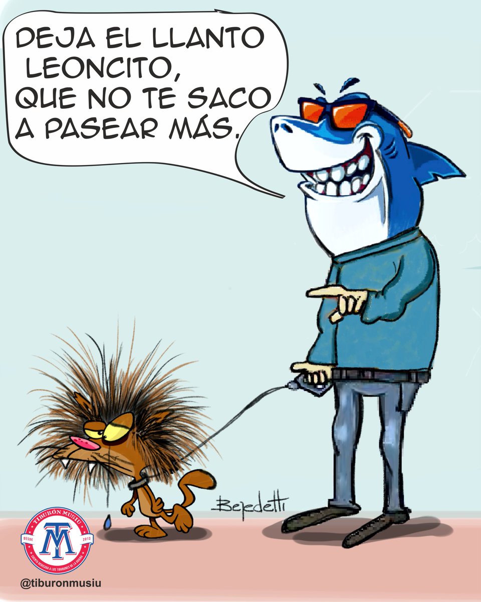 tiburonmusiu's tweet photo. 🔥SEGUIMOS INVICTOS🔥

CUARTO TRIUNFO ✅️ DE LA GUAIRA 🌊 EN LA POSTEMPORADA ⚾️

TIBURONES 4 LEONES 1

SIN LLORAR QUE ES PEOR 😂

🥁 VAMOS PA' ENCIMA 🥁

🎨 @ajb248 https://t.co/PwIhpDLwtP