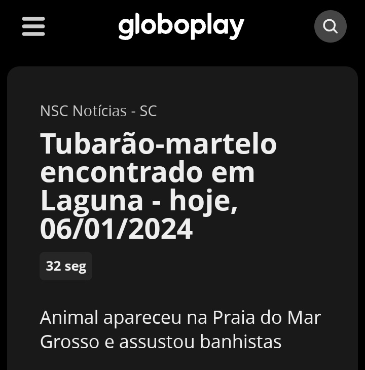 yaxwsz's tweet photo. e meus pais que simplesmente presenciaram um tubarão-martelo nadando no mar grosso hoje cedo e virou notícia https://t.co/wxRJoeL8Fm