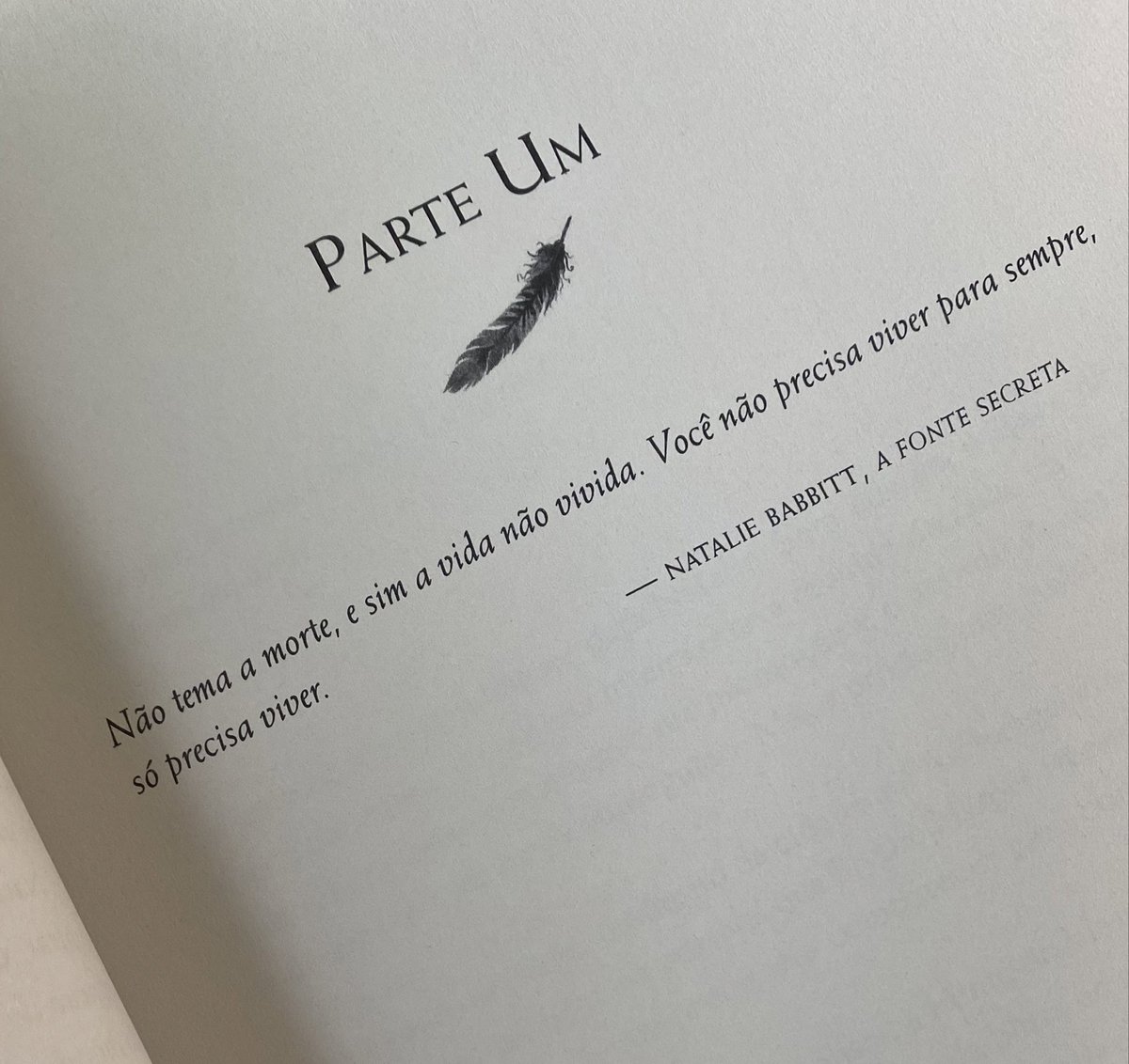 hoje comecei a ler meu primeiro livro do ano 📖✨🫶