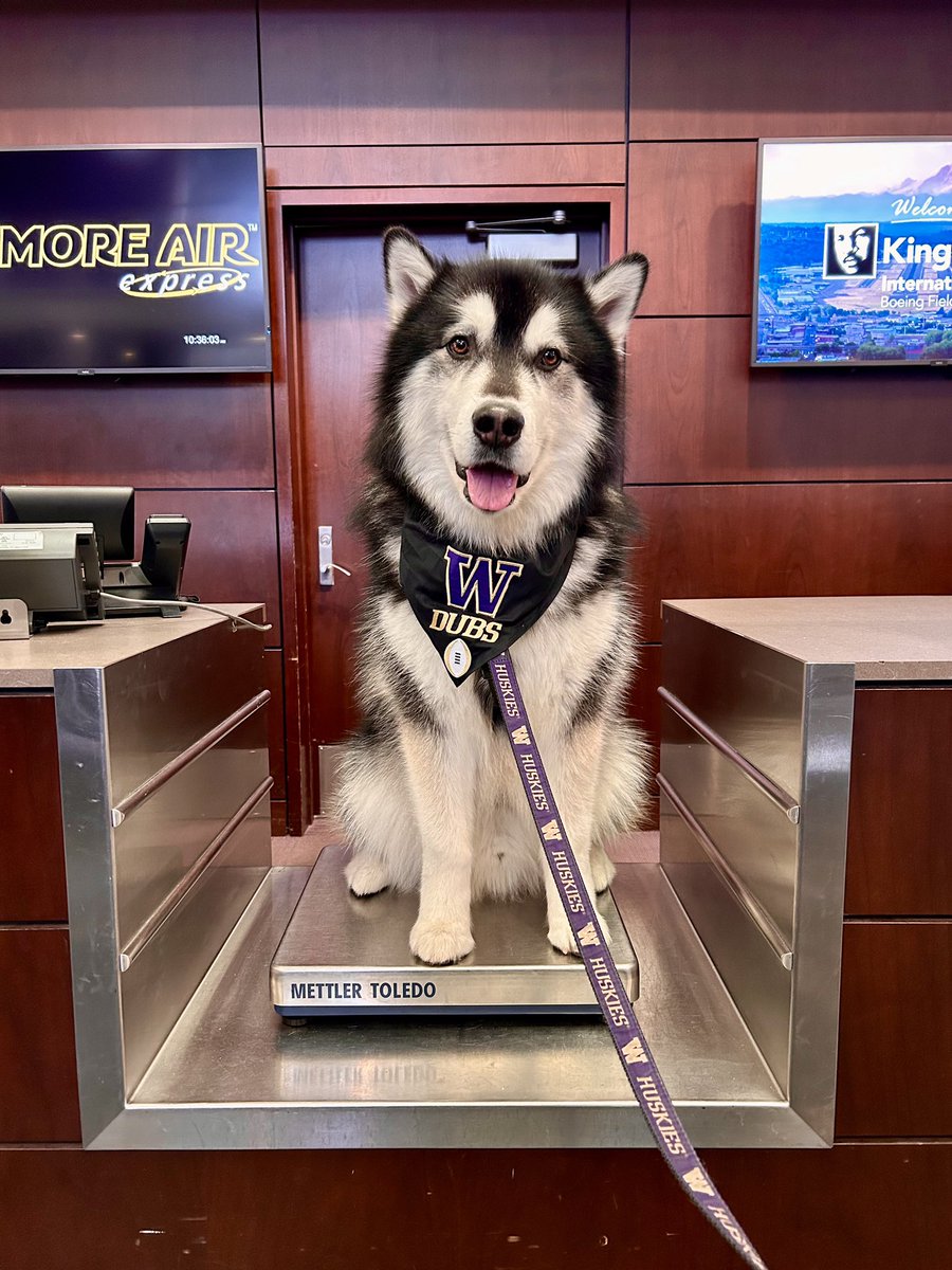 Weighing in! They said I didn’t have to but I insisted 🐾