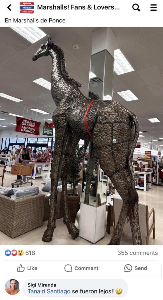 sebimor's tweet photo. en Marshalls de Ponce están vendiendo una jirafa enorme que cuesta $3k y la gente está retratándose con ella 📸🦒 https://t.co/p3d8mXgaNT