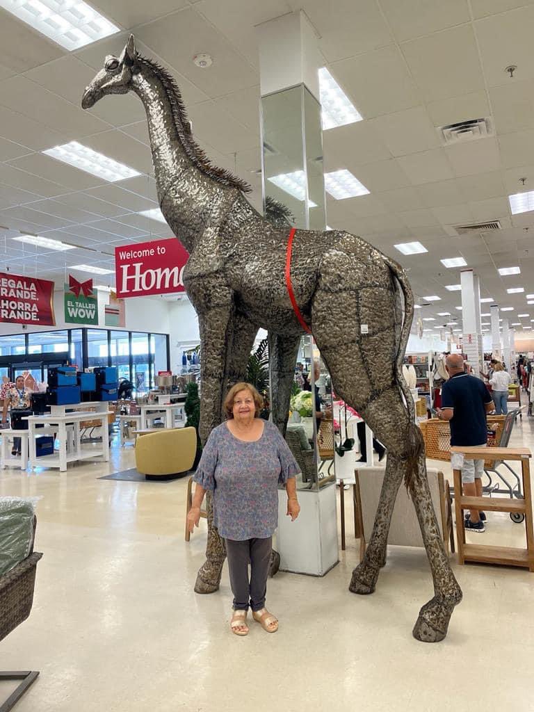 sebimor's tweet photo. en Marshalls de Ponce están vendiendo una jirafa enorme que cuesta $3k y la gente está retratándose con ella 📸🦒 https://t.co/p3d8mXgaNT