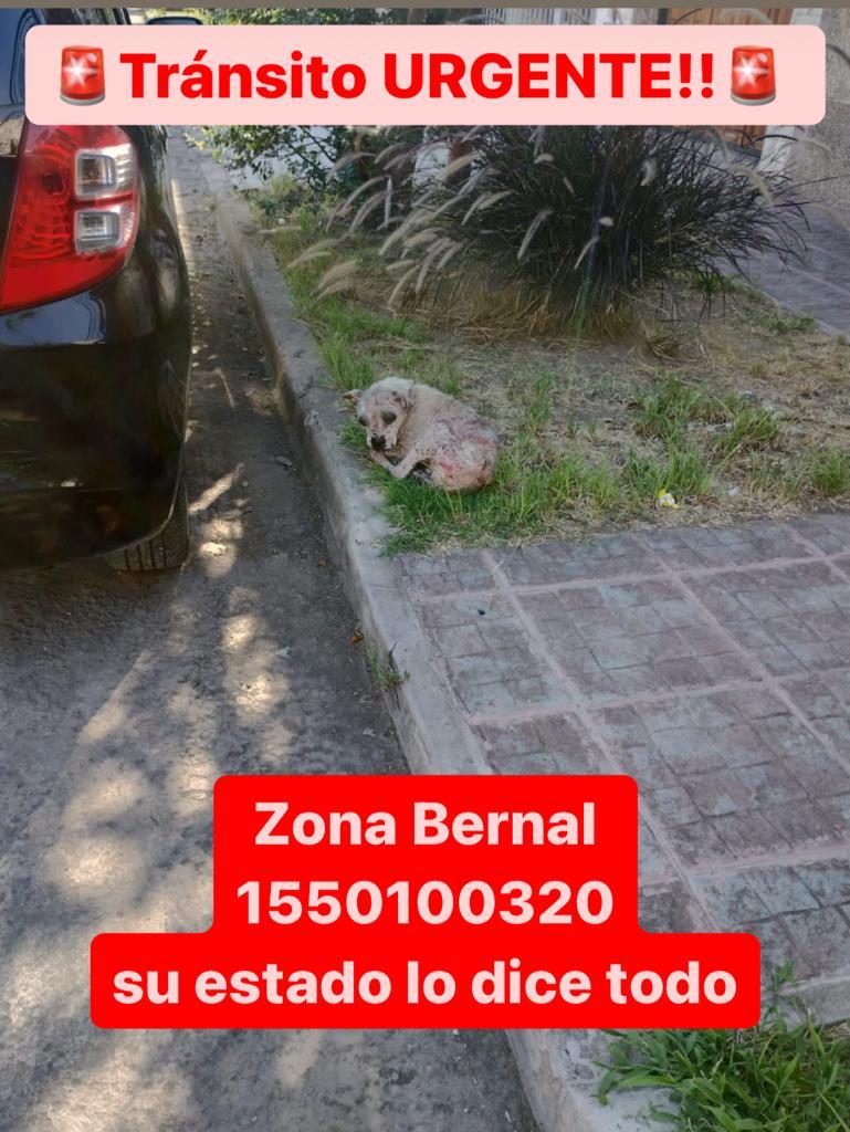 patripeyrou's tweet photo. Difundimos https://t.co/tpeeCVJLo7