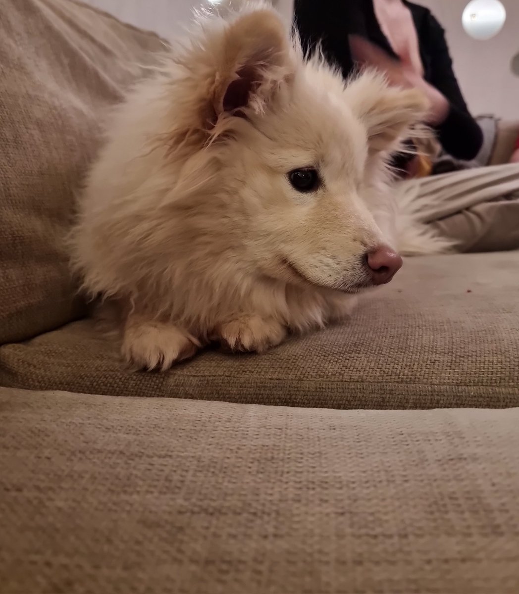 Kim DraySWE Larsson tweet media