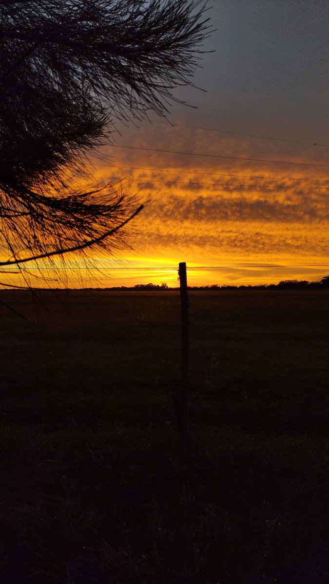 Amanecer Entrerriano 🌄
