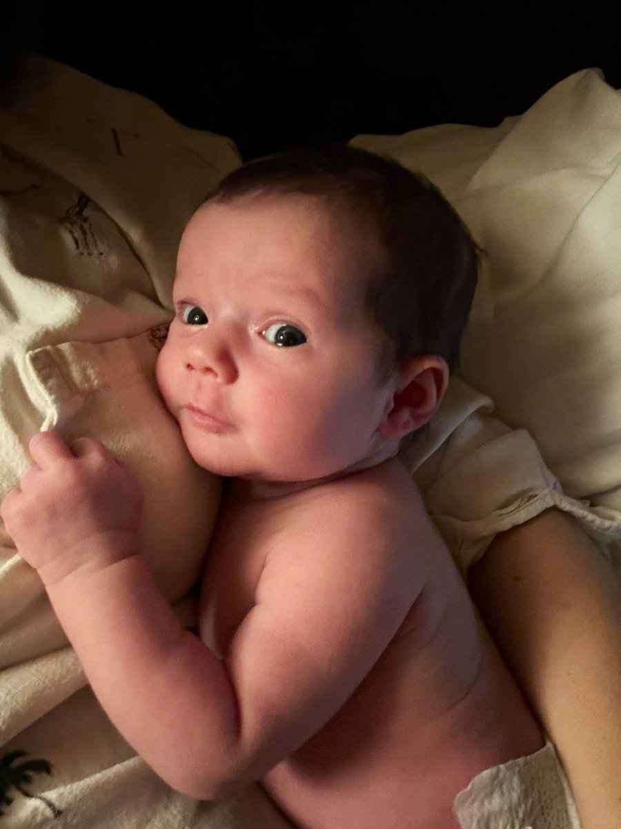 Jesse Genet tweet media