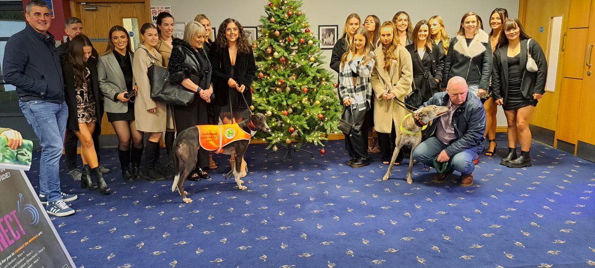 Shelbourne Park Greyhound Stadium tweet media