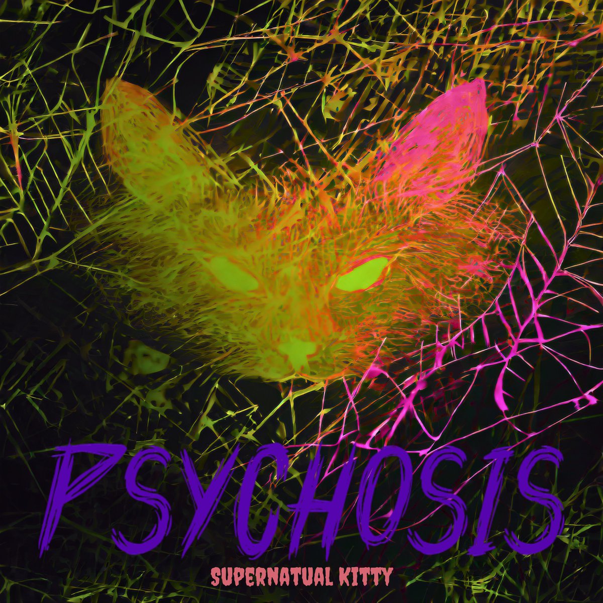 Psychosis_band0's tweet photo. Supernatural Kitty (Official Audio) https://t.co/6t42GAIEm6 via @YouTube
Yo Metalheads check it out and lmk your thoughts new single :) #music #musician #Psychosis #single #firstsong #followforafollowback #rnr #alt #metal #numetal #horrorcore https://t.co/6wb4MNbgu3