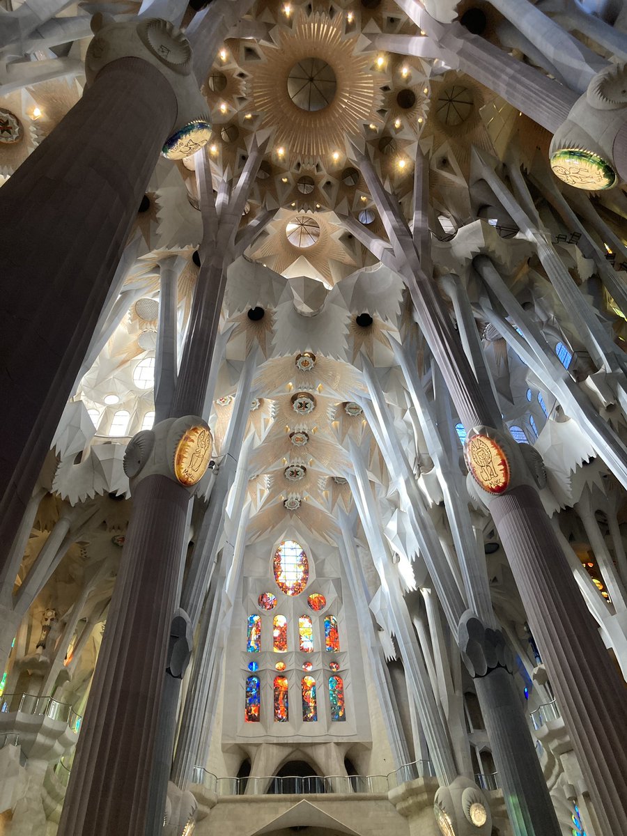GCSEsimplified's tweet photo. Enjoying the last few days of the Christmas holidays in #Barcelona
Some winter sunshine and the 3 kings parade
Back to work Monday for a very busy rest of January.
#GCSEsimplifed https://t.co/fqXl1gW83D