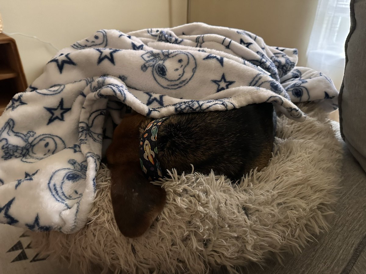 Rainy day. Do Not Disturb.