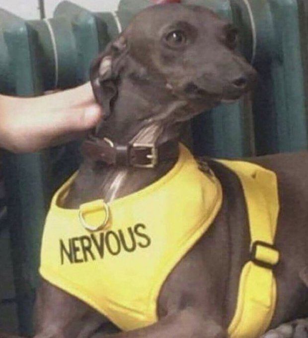 Of course I&rsquo;d have migraines three days in a row and then my laptop won&rsquo;t work . Of course that would