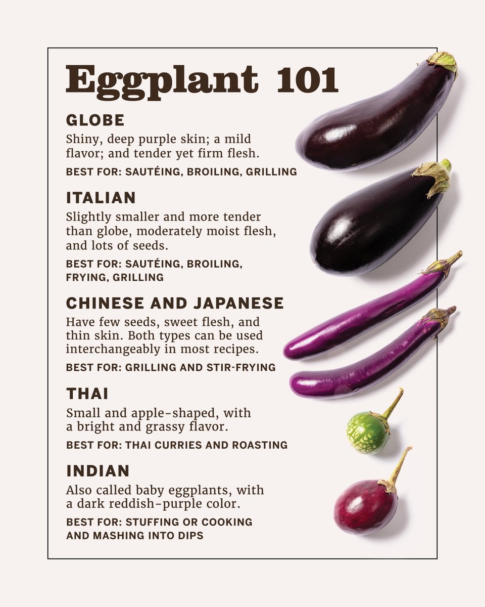 TestKitchen's tweet photo. There are countless eggplant varieties to be found, here a few of our favorite types. Make our take on eggplant Parmesan: https://t.co/iFCkoB5wBF https://t.co/RsiK8fcxkU