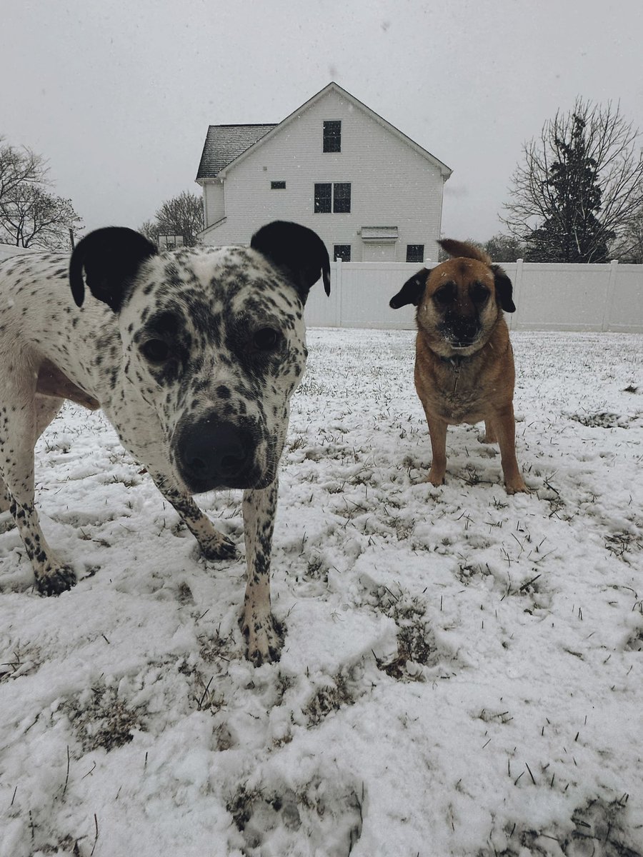 Mrs. Stover tweet media