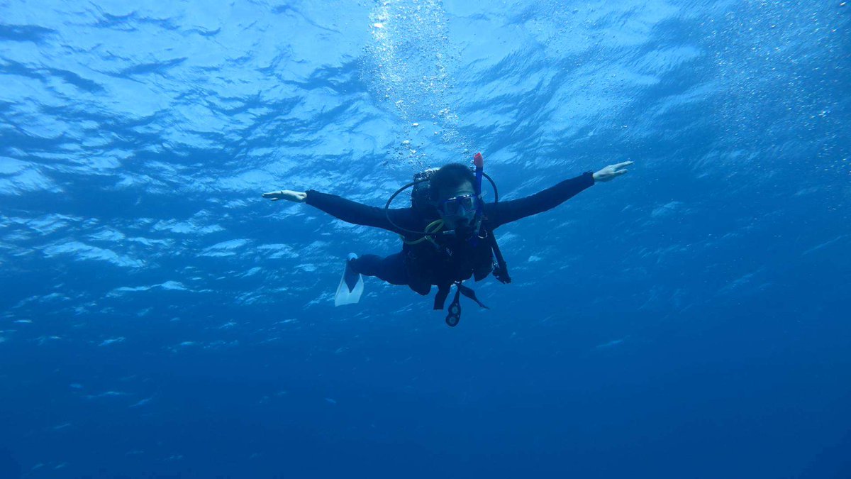 ruichuan's tweet photo. Meeting a turtle while scuba diving at 25m deep 🤿 #scubadiving #hurghada #RedSea https://t.co/RV4sYjGgfD
