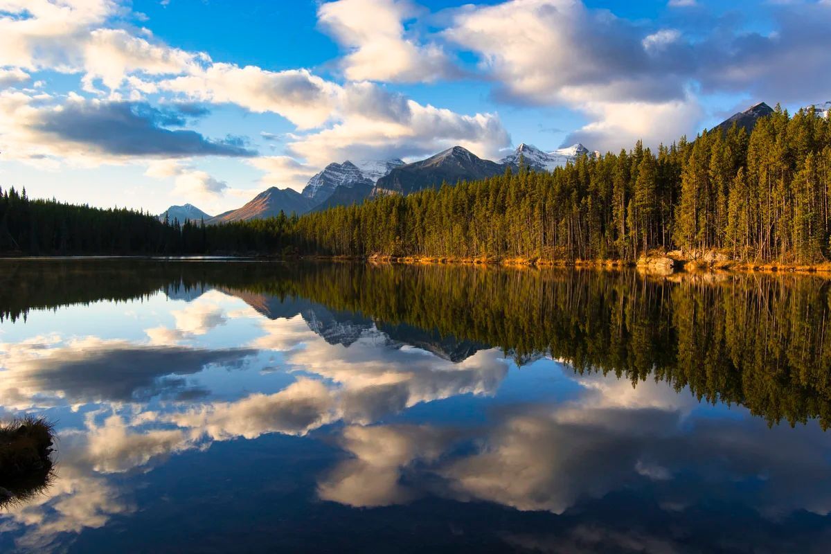 TerraEncounters's tweet photo. Drive to see beautiful reflections. Explore the wonders of the Canadian #Rockies at
https://t.co/LiGtUcQzw3
#travel #Canada #hiking #mountains #nature #exploreAlberta #HelloBC #ExploreBC #wanderlust #roadtrip #travelblogger #traveltuesday #ttot #scenery #blogpromotion https://t.co/KQuuqrb0SP