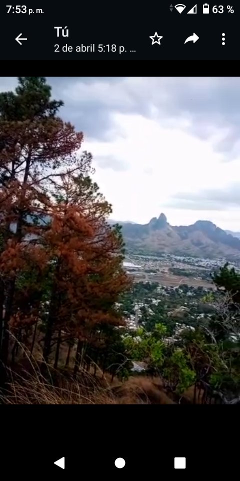 Servando Infante (@servandoin18069) on Twitter photo 