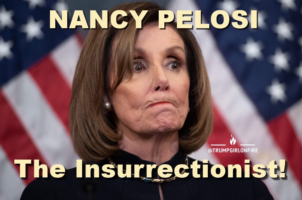 NANCY PELOSI
The REAL Insurrectionist

#TrumpGirlOnFire 🔥 #InsurrectionDay