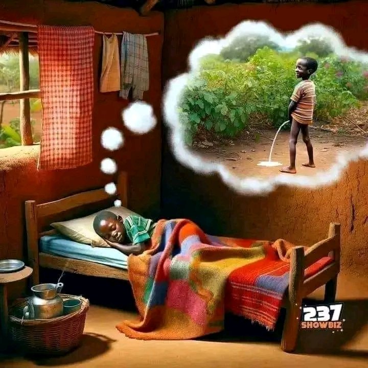 'Dreams can take you to unexpected places! 
😴🌌 Sweet dreams turned into a surprise wake-up call. 
He dreamt he was a champion water-bender, he woke up as the reigning bed-wetter. 🤷‍♂️
😅 #Sunnaija #DreamFail #morningsurprises