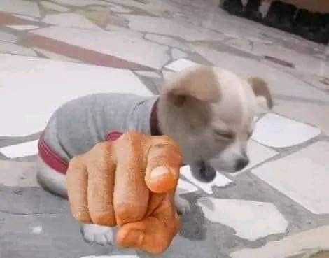 Just comin' here to make fun of you .