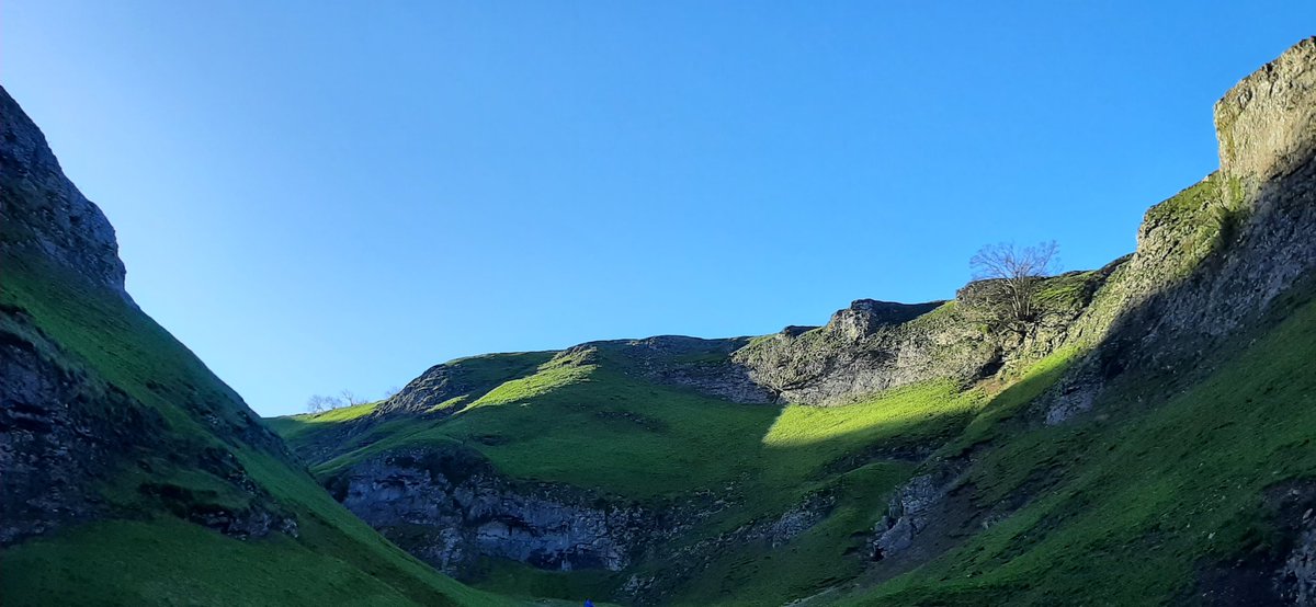 Dr. Candice Majewski 💙 tweet media