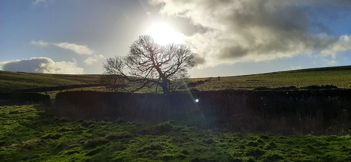 Dr. Candice Majewski 💙 tweet media