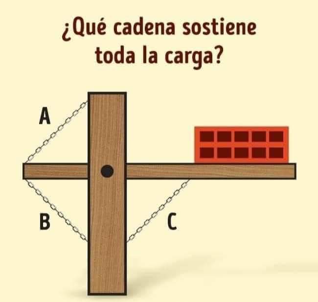 Enséñame de Ciencia tweet media