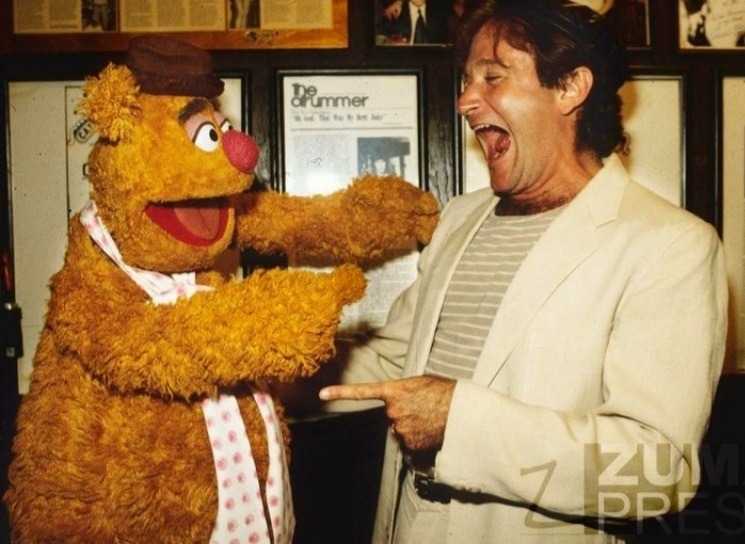 MuppetPictures's tweet photo. https://t.co/RkLpt2Pns7