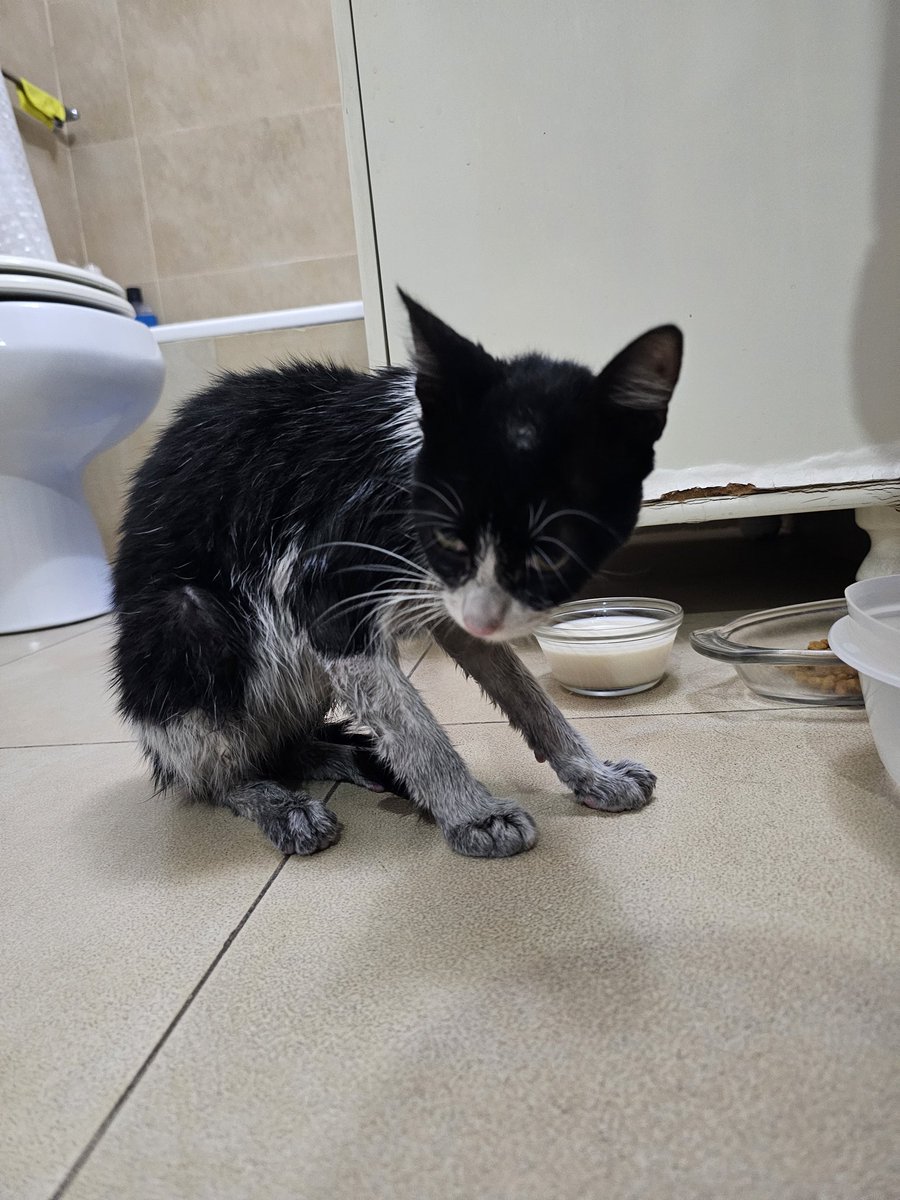 Jung Park tweet media