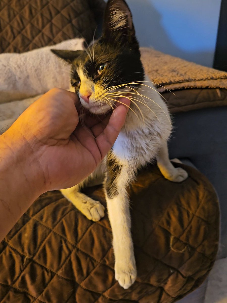 Jung Park tweet media