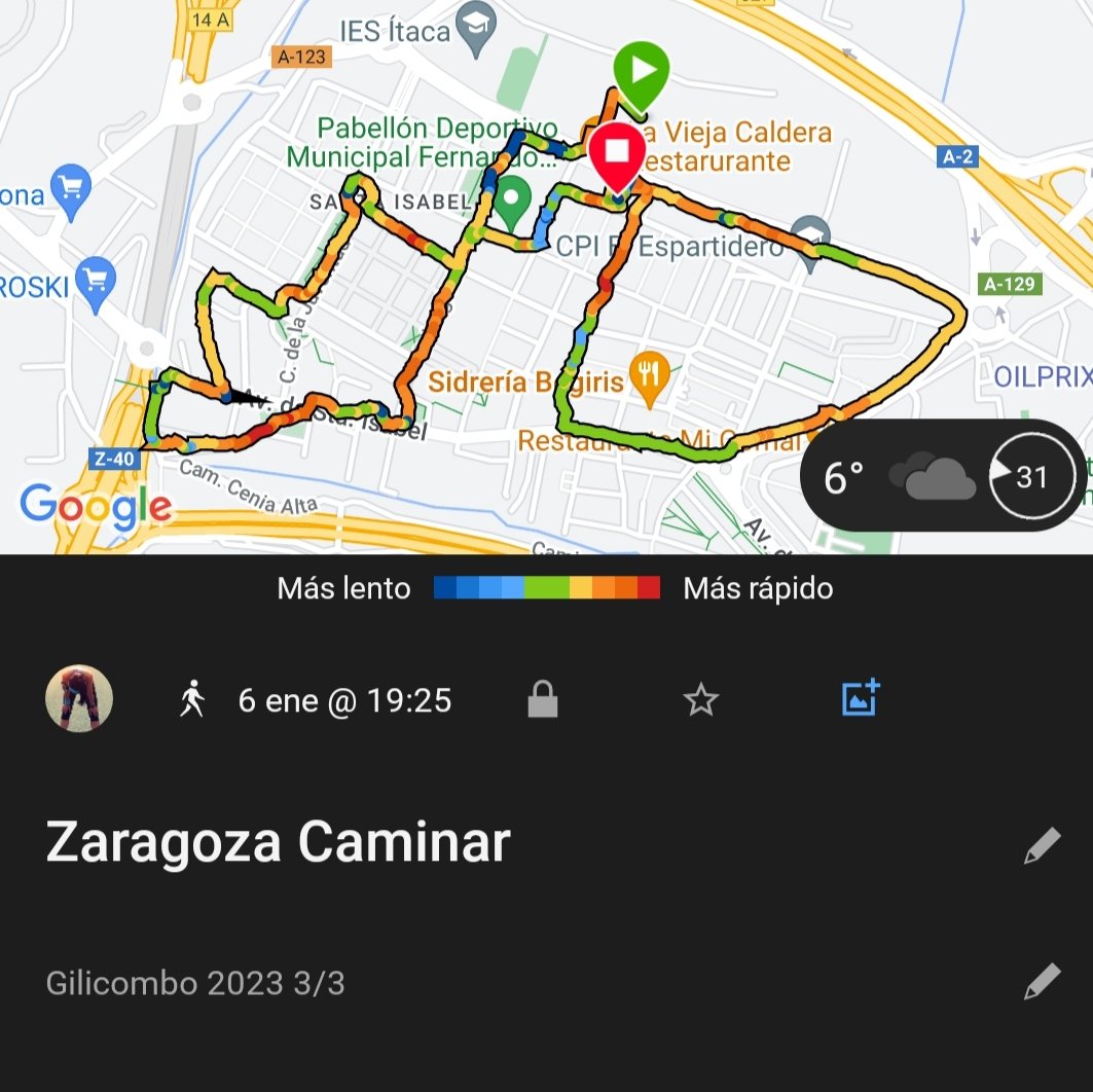 María Torres Sanz tweet media
