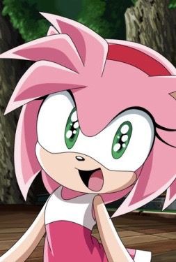 XxRabbit_Playz's tweet photo. @XxScorching_Paw @XxLemur_Playzvv { @XxVibrant_Shine } 

Amy The Hedgehog https://t.co/UALLpirzoy