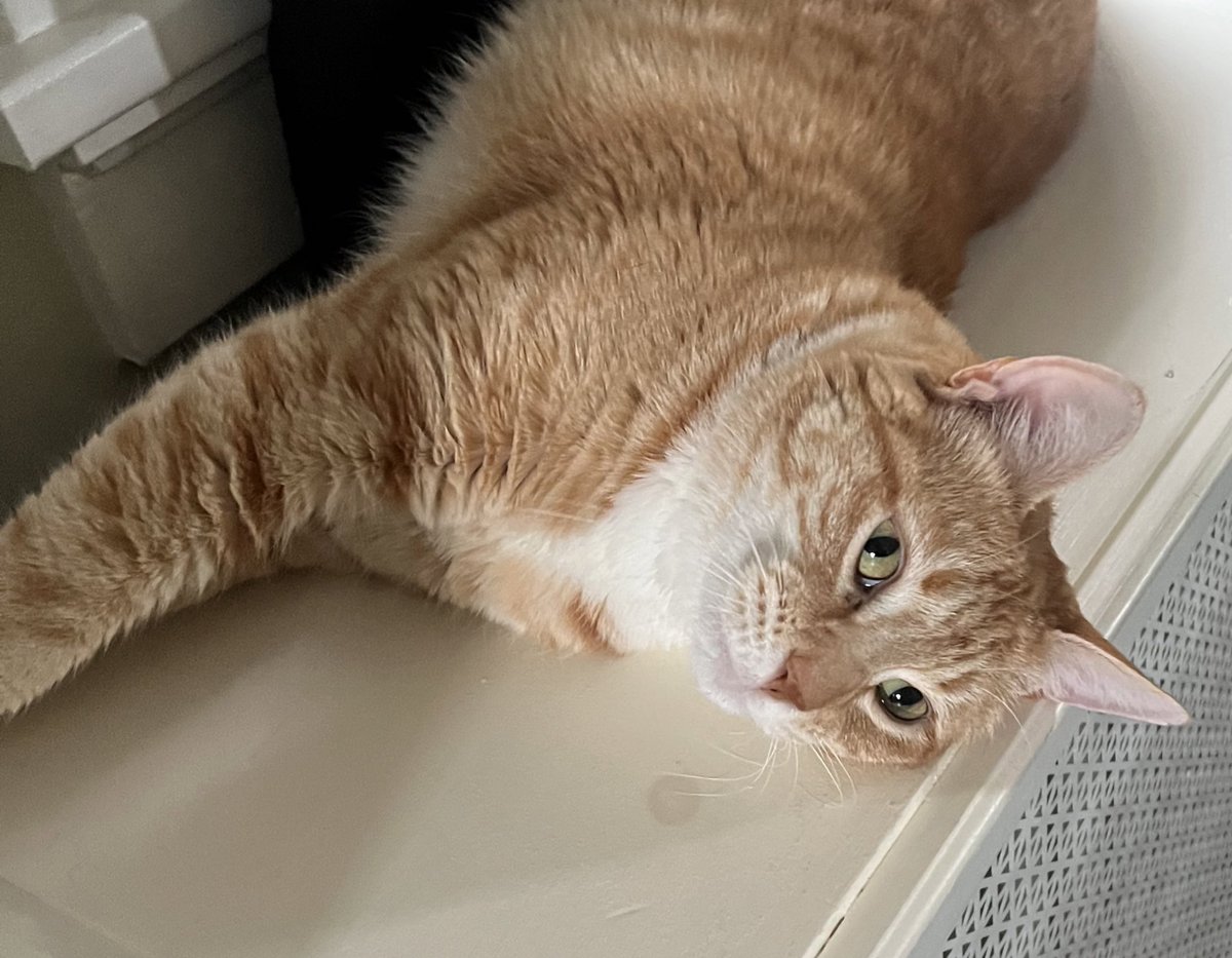 I wasn’t putting my face in your lunch. I was putting my face in OUR lunch