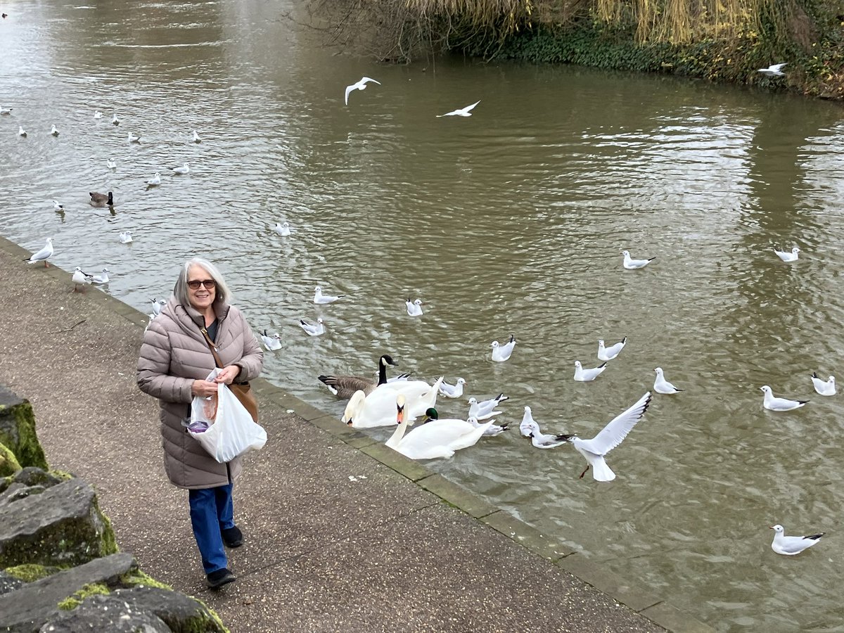 LetsWindsor's tweet photo. #WindsorBridge #WindsorEton #Swans #FeedtheSwans #LetsWindsor Lets Windsor Visit Stay https://t.co/0QwhXwIzyQ #WindsorEtonBridge #RiverThames #ThamesPath #RoyalSwans #Walks #EtonBridge #Eton More info: https://t.co/BYVe0BrMeF https://t.co/uLlmoLVftF