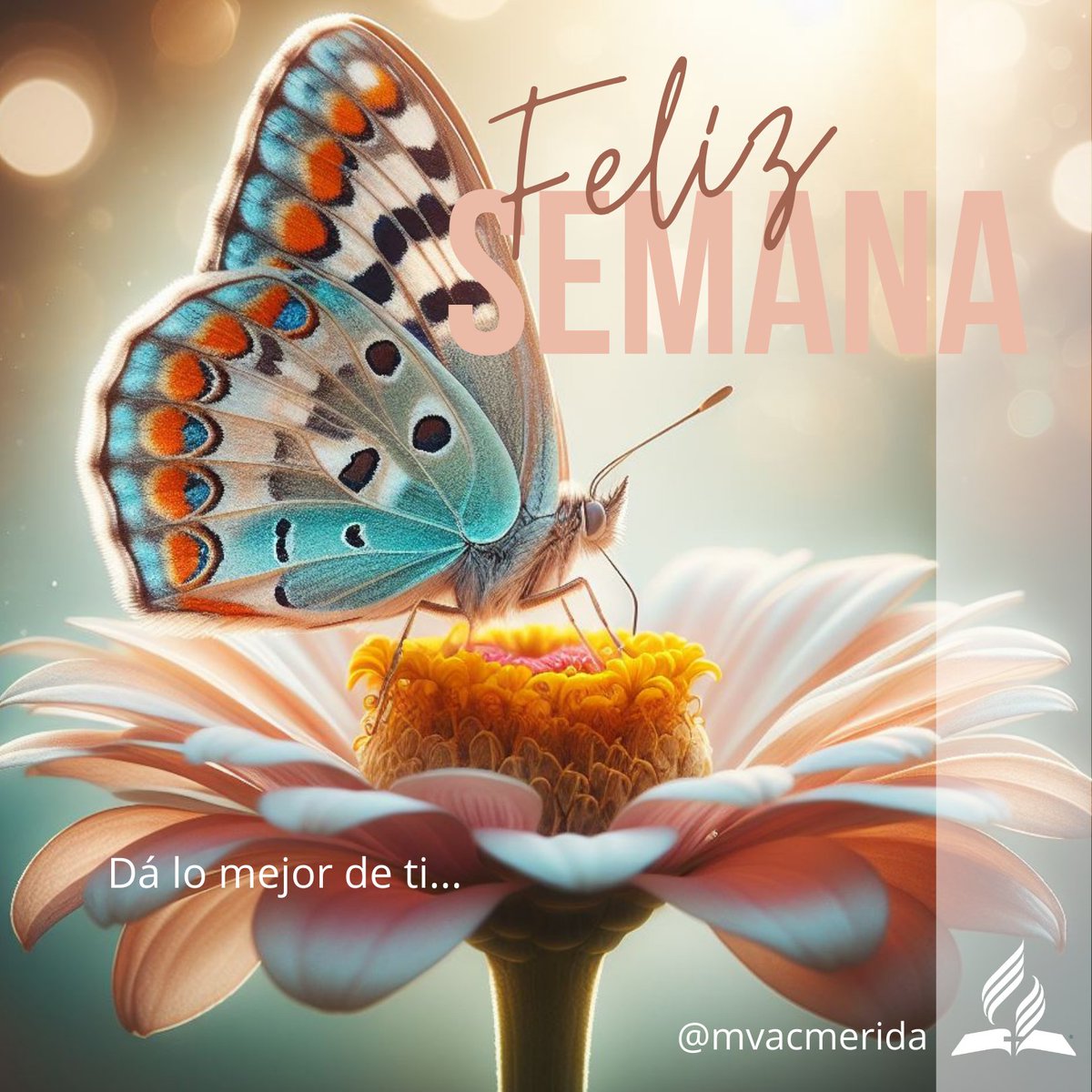 En lo que hagas, entrega lo mejor de ti. Que tu semana sea de éxito 🙌  

Dios te Bendiga. Felíz Semana