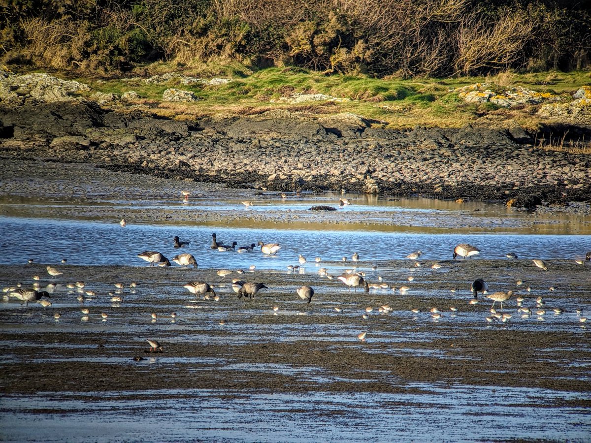 Jonni Price tweet media